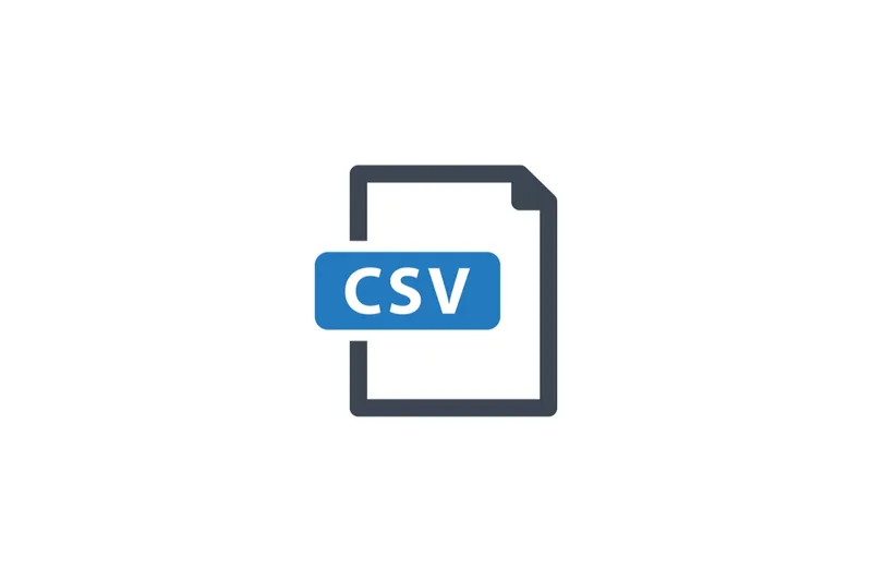 CSV 是什么意思