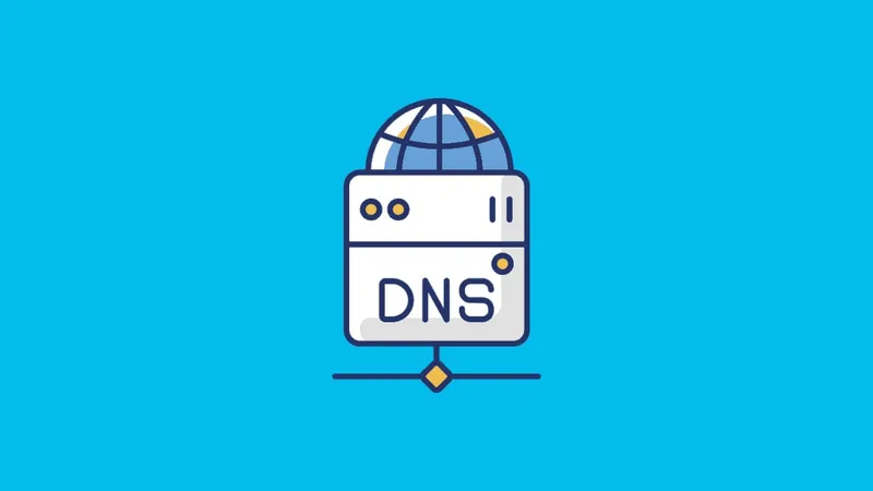 DNS server DNS 服务器