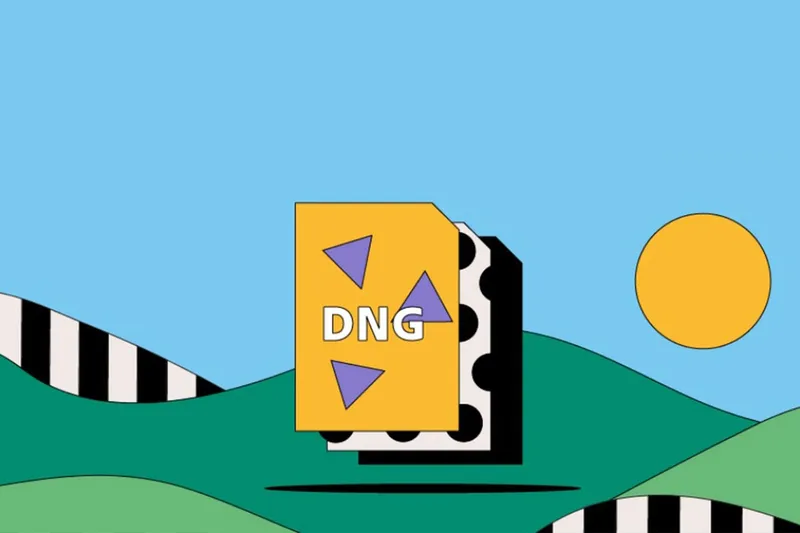 dng 文件 Dng file