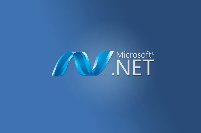 .NET 是什么意思