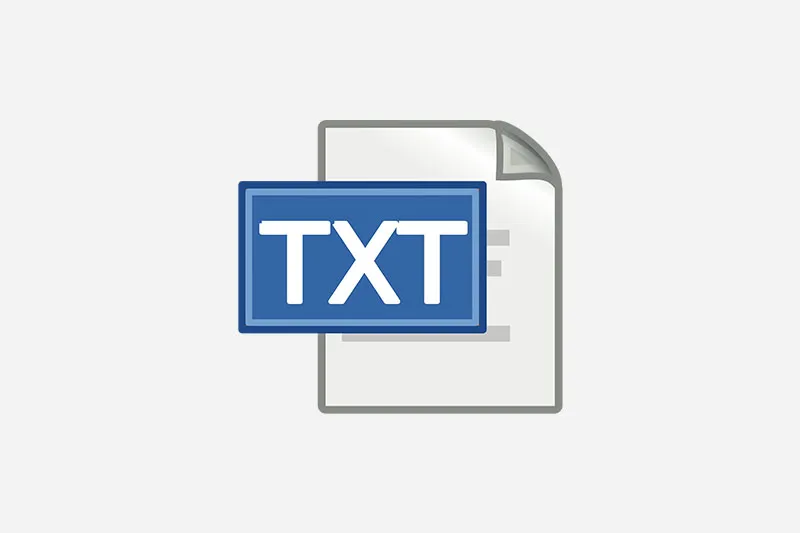 TXT 是什么