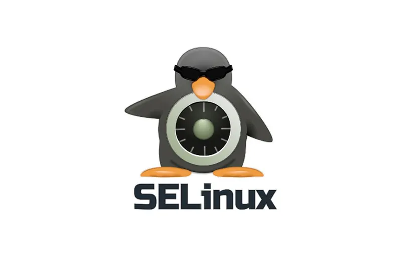 安全增强型 Linux（SELinux）