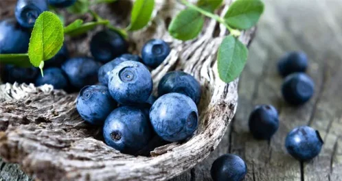 吃蓝莓的禁忌有哪些