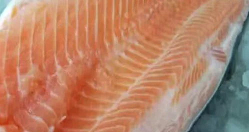 三文鱼的营养价值功效与作用是什么