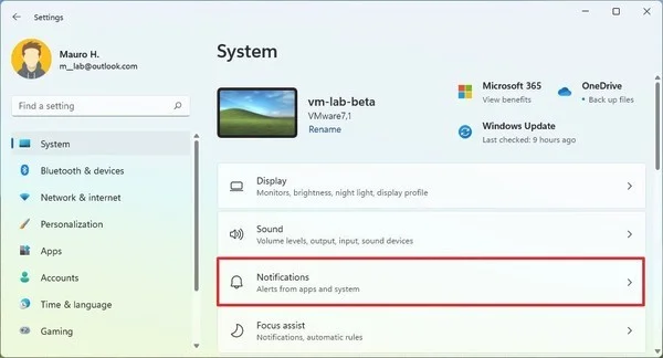如何在Windows11上自定义每个应用