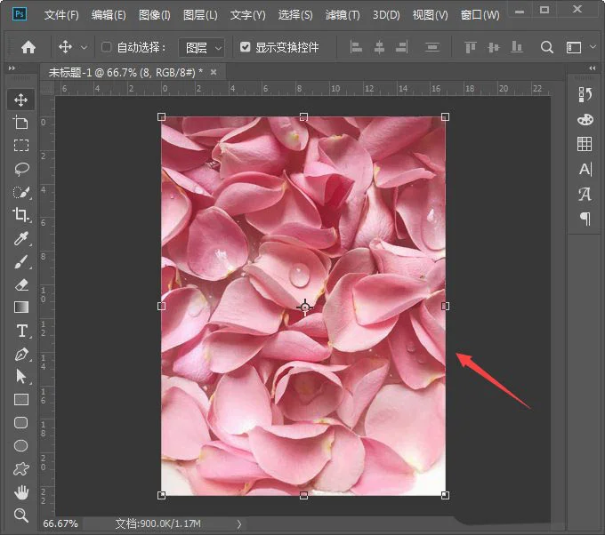 怎么在ps里设计玫瑰花瓣撕纸-ps撕纸海报的制作技巧