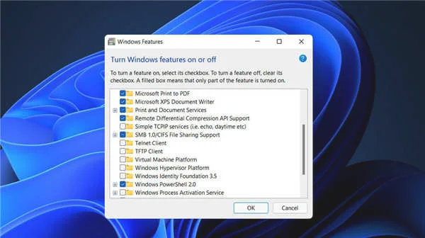 win11系统服务哪些可以关闭_在Windows11上安全关闭哪些服务?