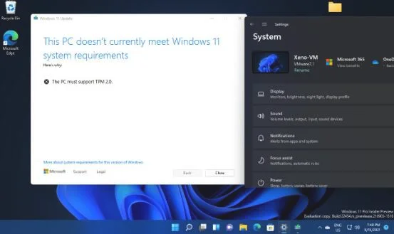 最新的 Windows 11 Insider Build 
