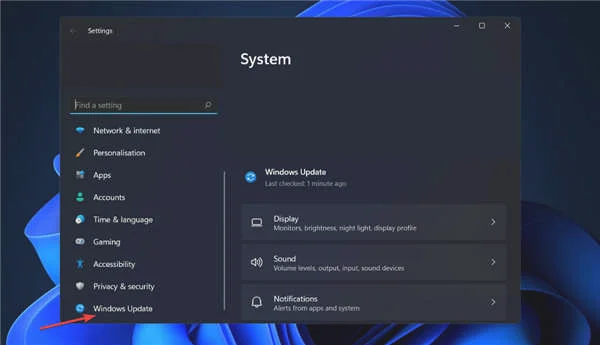 如何检查Windows11中的新更新?系统