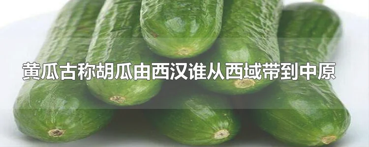 黄瓜 古称黄瓜 是谁从西汉带进中原的？