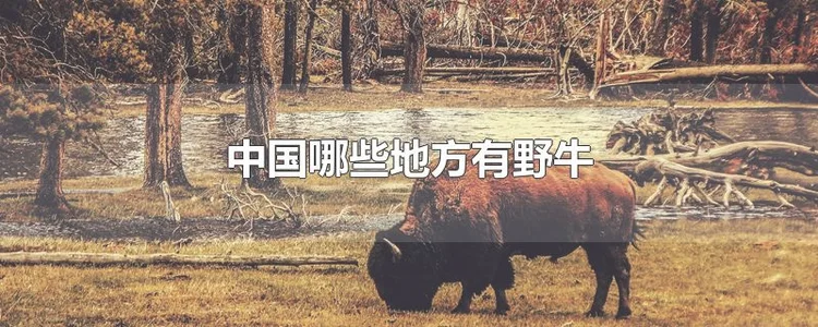 中国哪些地方有野牛
