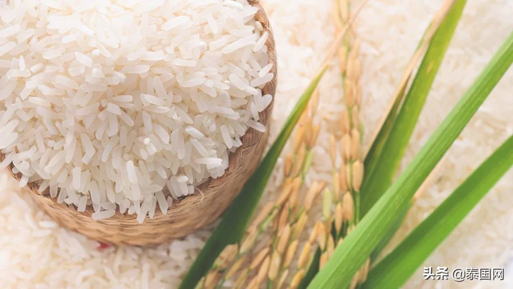泰国大米价格、出口量遇10年新低