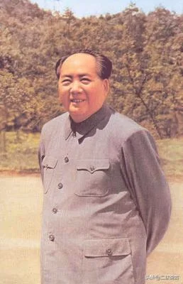 毛泽东诗词里的两只鲲鹏象征着什么？