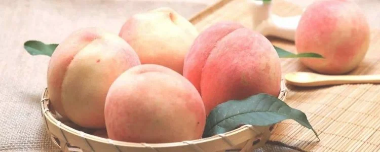 梨和桃子可以一起煮吗