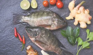 怎样挑选冬季吃的鱼肉 怎样挑选冬季吃的鱼肉片