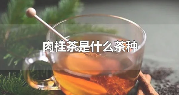 肉桂茶是什么茶种 肉桂茶有什么特