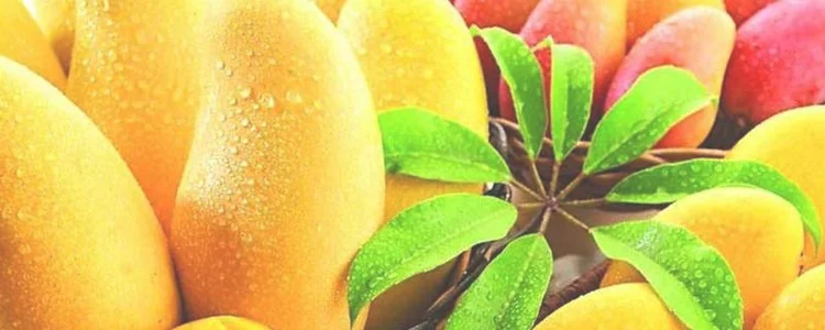 热带水果可以放在冰箱里吗
