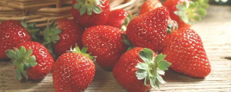 晚上可以吃草莓吗？