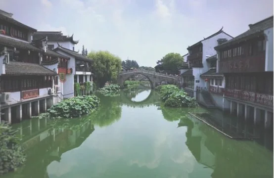 你知道上海除了东方明珠，还有什么一生必打卡的景点吗？