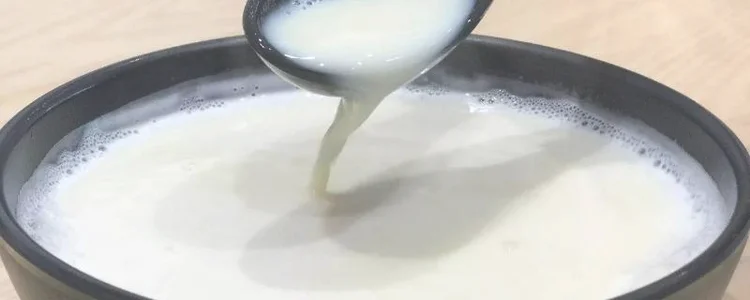 豆乳是什么