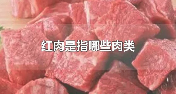 红肉是指哪些肉类 红肉与白肉的区