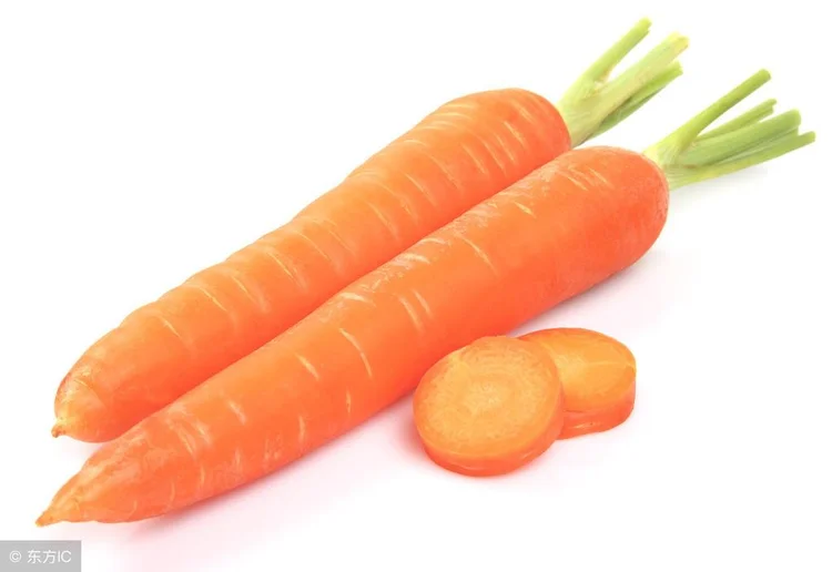 carrots是什么意思(奶酪三明治英文怎么说)