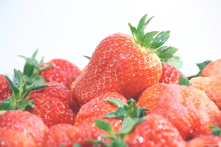 草莓的营养价值（草莓的营养价值和好处）