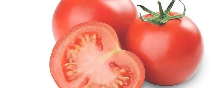 单独番茄可以做什么菜