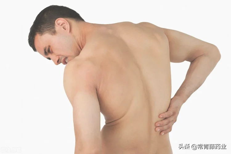 腰肌损伤多久可以恢复(腰肌劳损一般多久恢复)