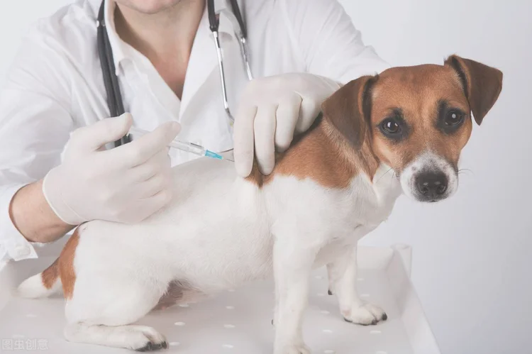 狂犬疫苗多长时间内打（被狗咬24小时