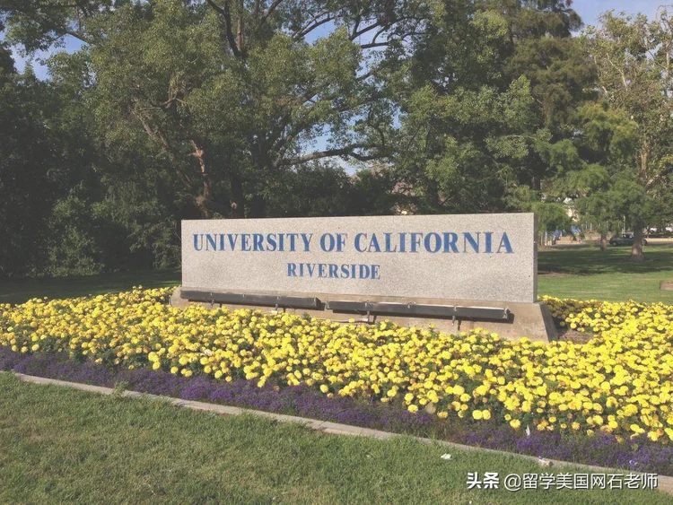 加州的好大学有哪些？