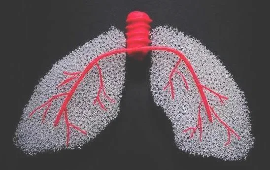 肺癌中晚期能活多久(肺癌中晚期寿